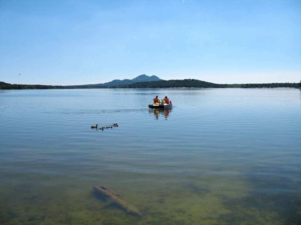 Máchovo jezero se šlapadlem a kachnami, v dálce silueta Bezdězu.