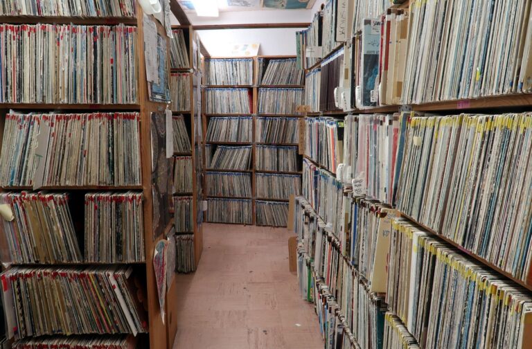 Řady vinylových gramofonových desek v papírových obalech srovnané v regálu
